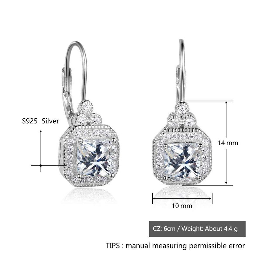 Women's S925 sterling silver rhinestone earrings